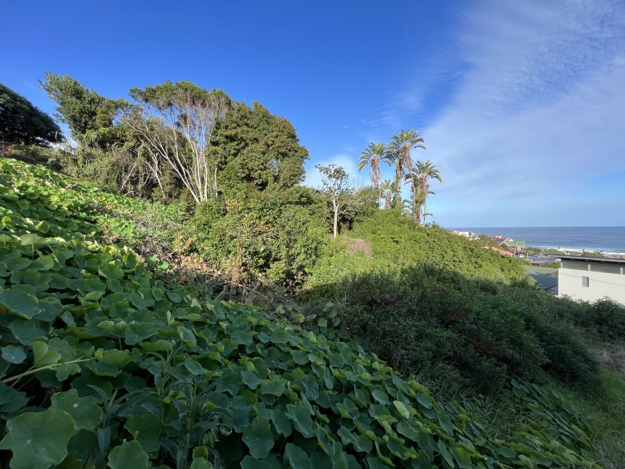 0 Bedroom Property for Sale in Glentana Western Cape